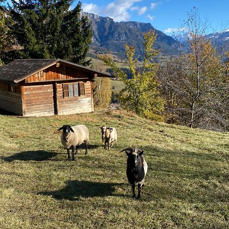 קסטלו די פיימה Encia'S Home Dolomiti מראה חיצוני תמונה